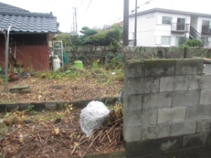 伐採工事完了