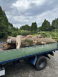 伐採後 木 ダンプ積み込み