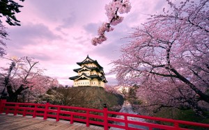 Japan-Wallpaper-Hirosaki-castle-Trees-sakura-bloom-bridge