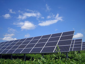 太陽光発電所について