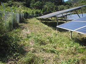 メガソーラー発電所の草刈り