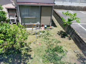 剪定作業