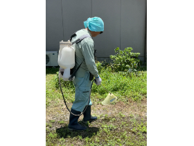 土地の除草