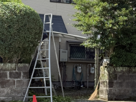庭木の剪定